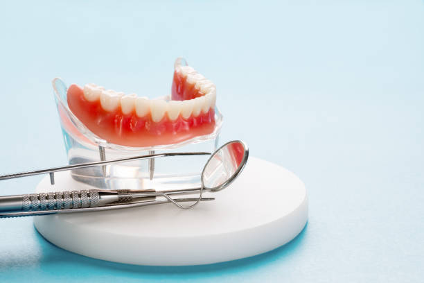  Ship Bottom, NJ Holistic Dental Services Pros